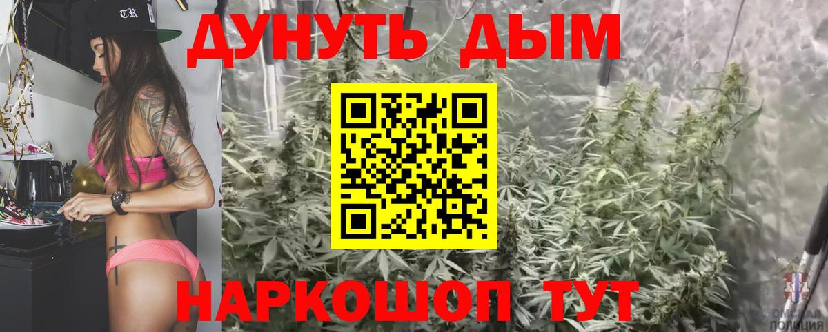Канабис Bruce Banner  Бошки марихуана план  Бошки Шишки Ganja  Вход с VPN  Заволжье 
